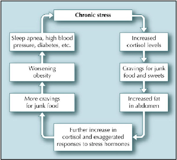 weight stigma