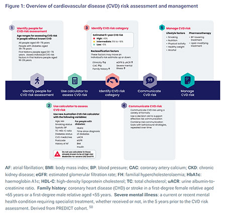 Australian CardioVascular Disease Risk Calculator, 2023