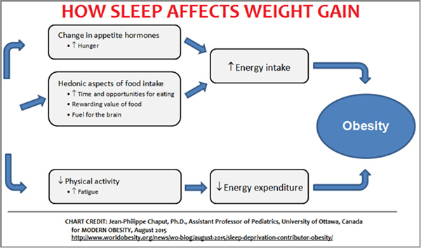 Lifestyle Changes to Lose Weight: How It Works